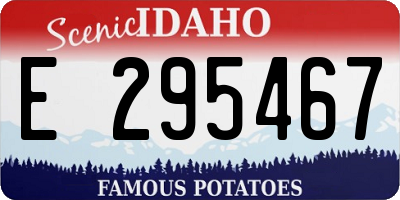 ID license plate E295467