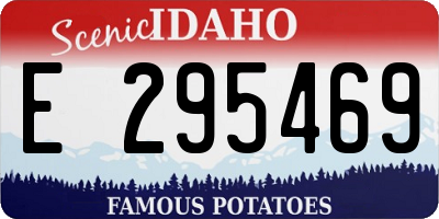 ID license plate E295469