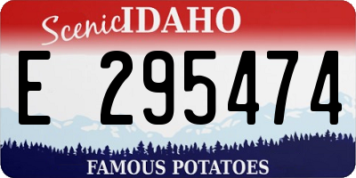 ID license plate E295474