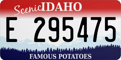 ID license plate E295475