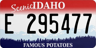 ID license plate E295477