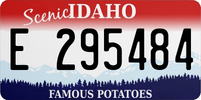 ID license plate E295484
