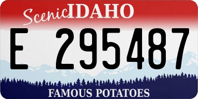 ID license plate E295487