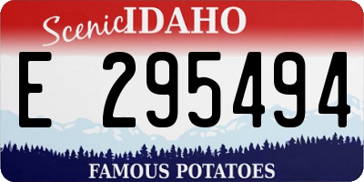 ID license plate E295494