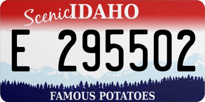 ID license plate E295502