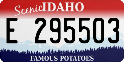 ID license plate E295503