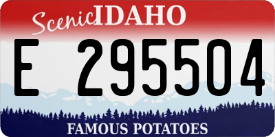 ID license plate E295504