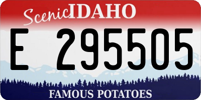 ID license plate E295505