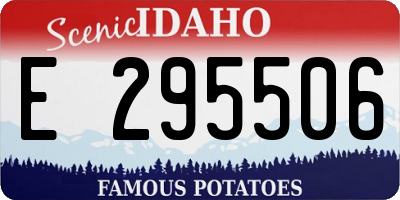 ID license plate E295506