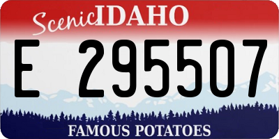 ID license plate E295507