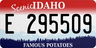 ID license plate E295509