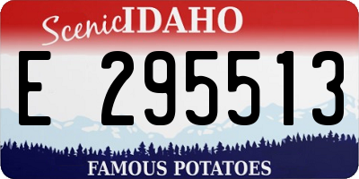 ID license plate E295513