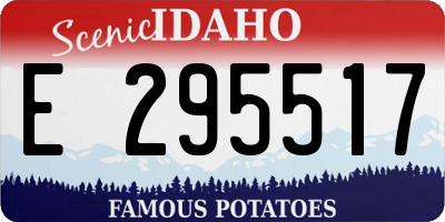 ID license plate E295517