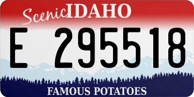 ID license plate E295518