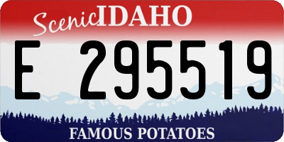 ID license plate E295519