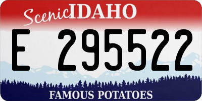 ID license plate E295522