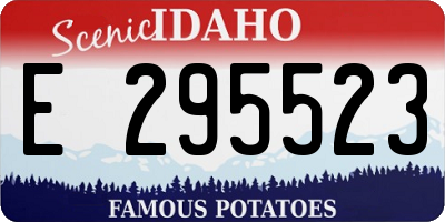 ID license plate E295523