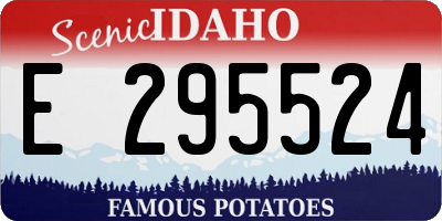 ID license plate E295524