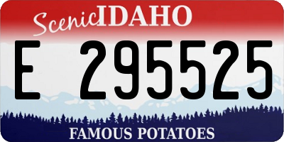 ID license plate E295525