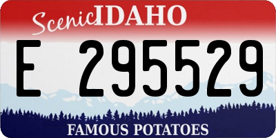 ID license plate E295529