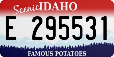 ID license plate E295531