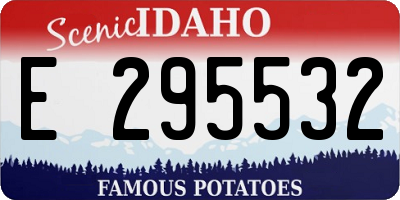ID license plate E295532