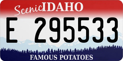 ID license plate E295533
