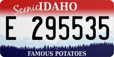 ID license plate E295535