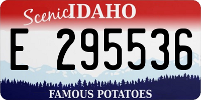 ID license plate E295536