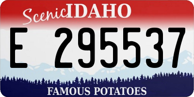 ID license plate E295537