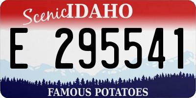 ID license plate E295541