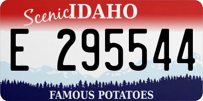 ID license plate E295544