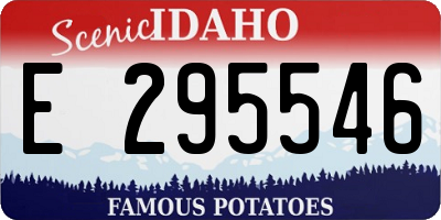 ID license plate E295546