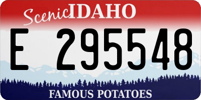 ID license plate E295548