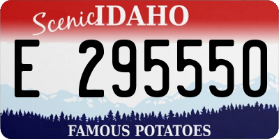 ID license plate E295550