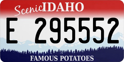 ID license plate E295552