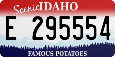 ID license plate E295554