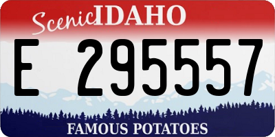 ID license plate E295557