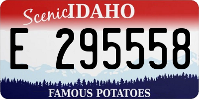 ID license plate E295558