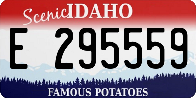 ID license plate E295559