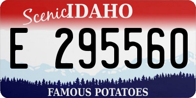 ID license plate E295560