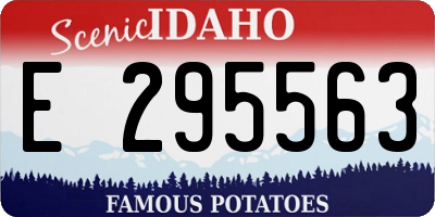 ID license plate E295563