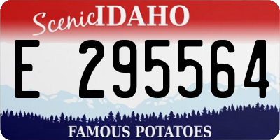 ID license plate E295564