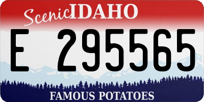 ID license plate E295565