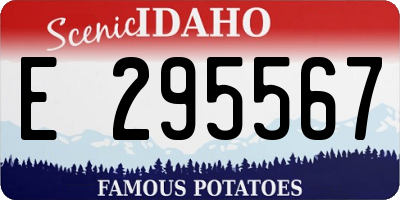 ID license plate E295567