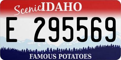 ID license plate E295569