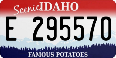 ID license plate E295570