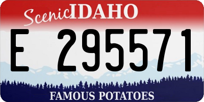ID license plate E295571