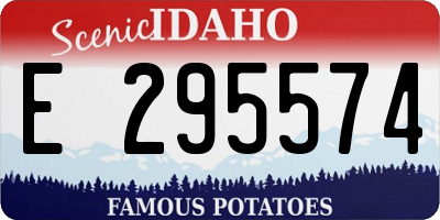 ID license plate E295574
