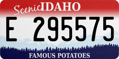 ID license plate E295575